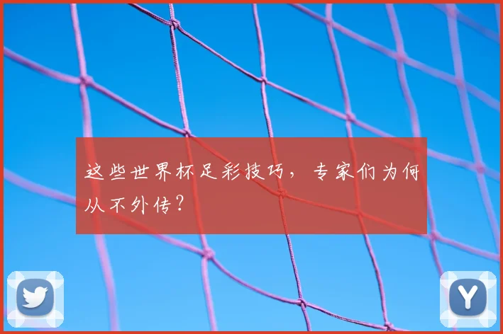这些世界杯足彩技巧，专家们为何从不外传？