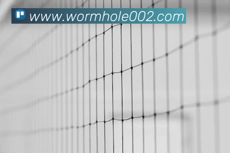 开云最新版本官方下载平台生态图